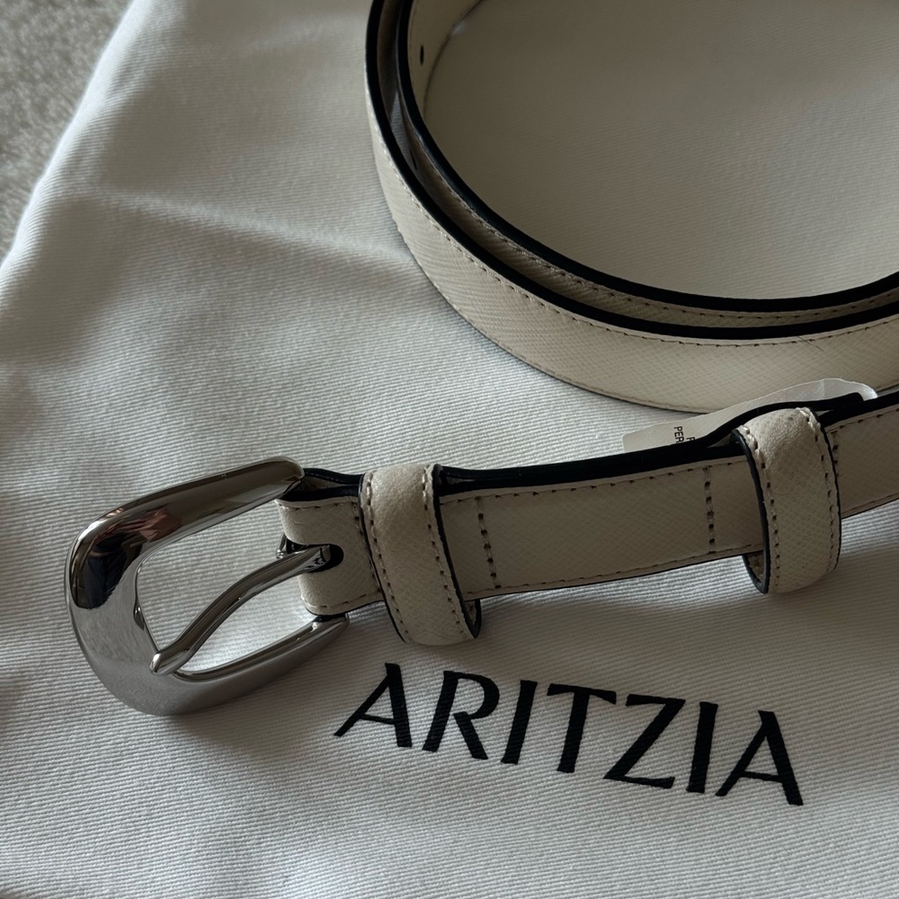 Aritzia Legendary Solid Brass Leather Belt